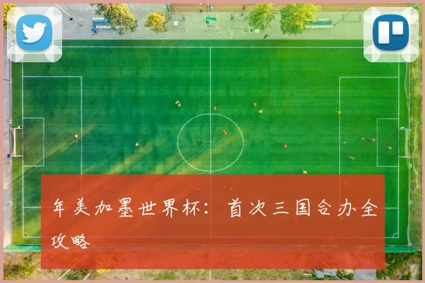 年美加墨世界杯：首次三国合办全攻略